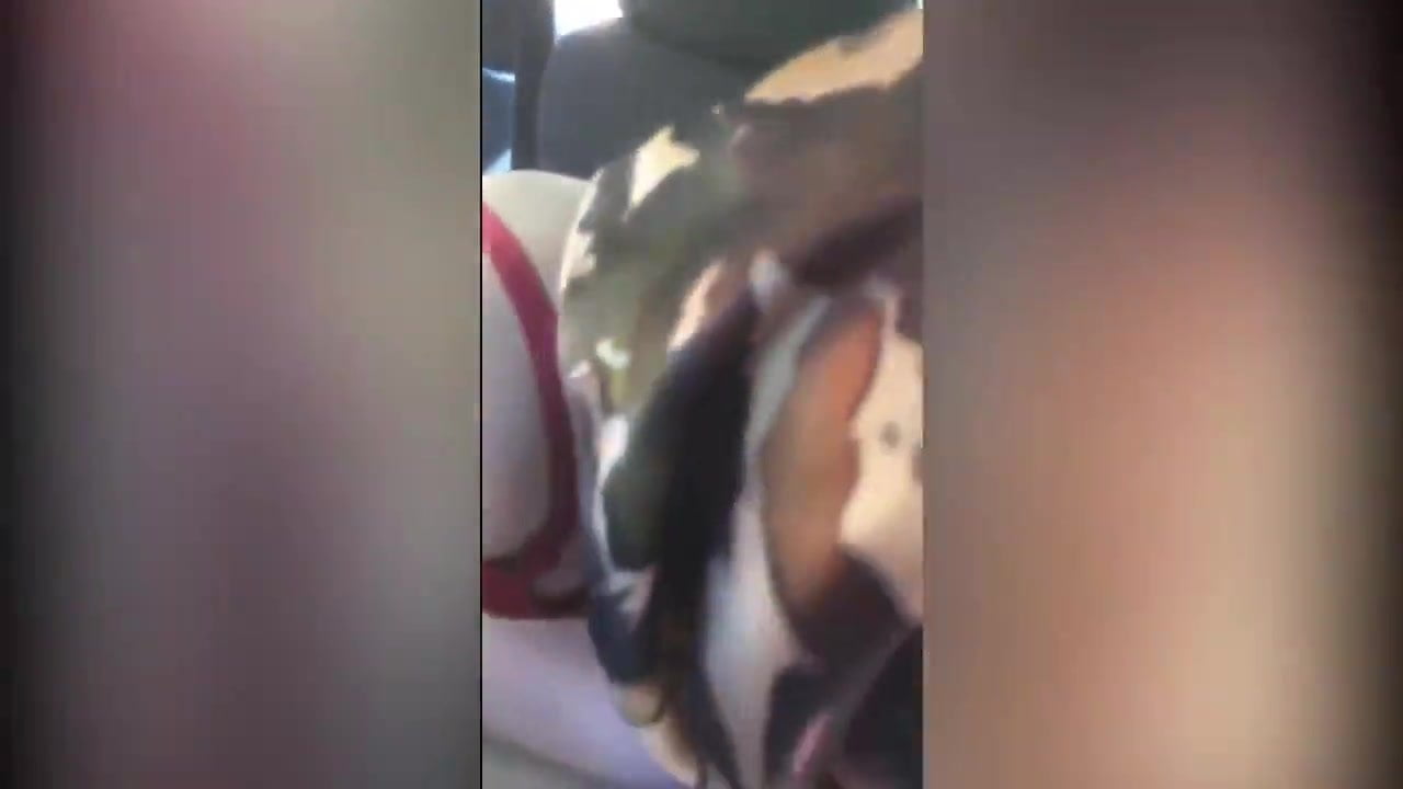 Türbanlı Melike'den arabada sakso ve ardından seks